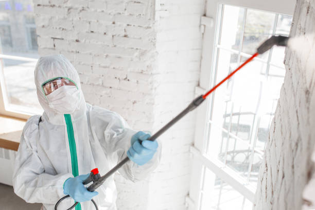 Best Mold Removal for HVAC Installations  in Glenville, WV