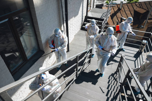 Trusted Glenville, WV Mold Removal Experts