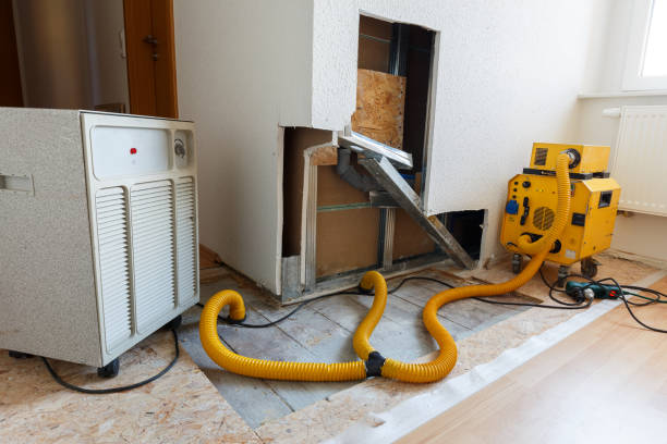 Best Water Damage & Mold Remediation  in Glenville, WV