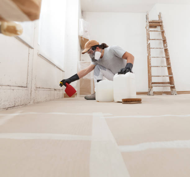 Best HVAC Mold Inspection and Cleaning  in Glenville, WV