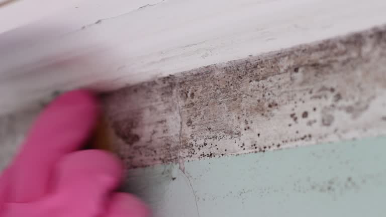 Best Post-Remediation Verification Testing  in Glenville, WV